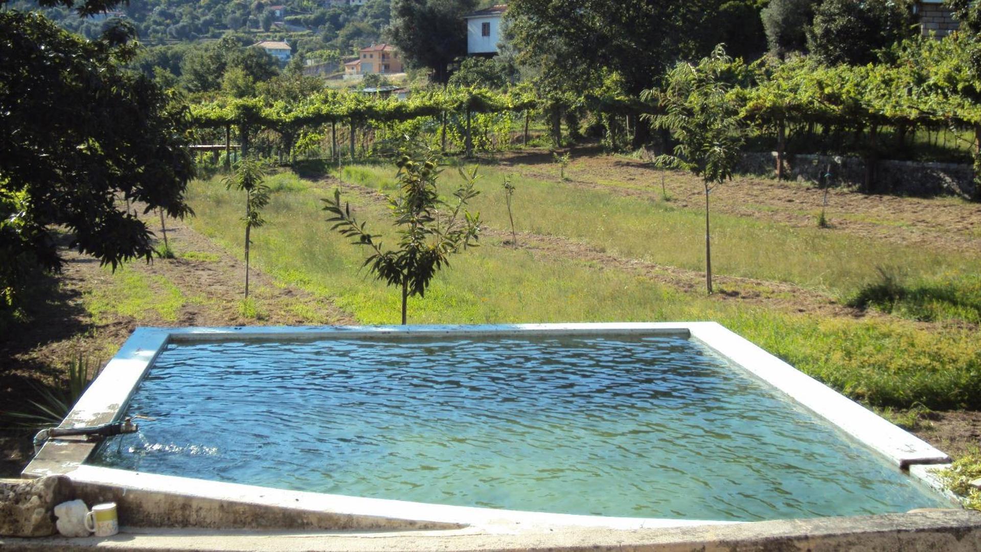 Alojamento Rodrigues Arcos de Valdevez Luaran gambar